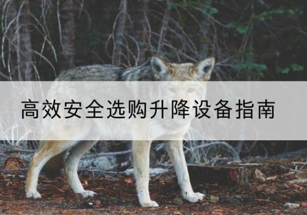 德格升降货梯厂家推荐-*安全选购升降设备指南