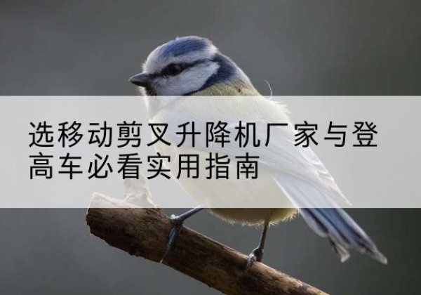 德格电动升降机厂家-选移动剪叉升降机厂家与登高车必看实用指南