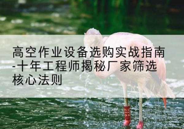 德格剪叉式升降机厂家-高空作业设备选购实战指南-十年工程师揭秘厂家筛选核心法则
